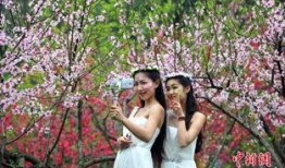 花俏女郎电影在线观看,时尚魅影，在线绽放