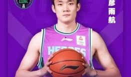 丁彦雨航最新爆料,揭秘篮球生涯转折与未来展望